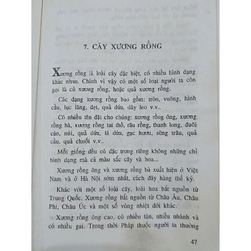 Nghệ thuật cây hoa - cây thế - cây cảnh - Như Mạo 1000795