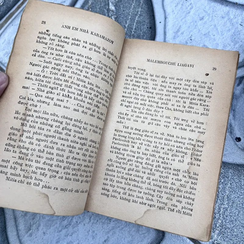Anh em nhà karamazov - Trương Đình Cử (1972) 752773