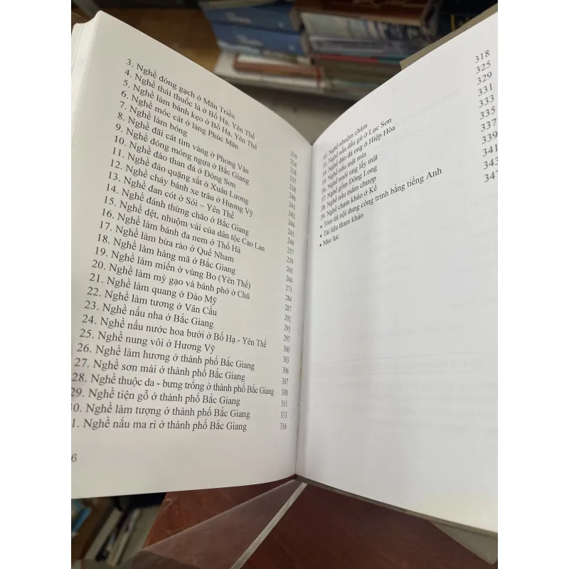 LÀNG NGHỀ VÀ NHỮNG  NGHỀ THỦ CÔNG TRUYỀN THỐNG Ở BẮC GIANG 937182