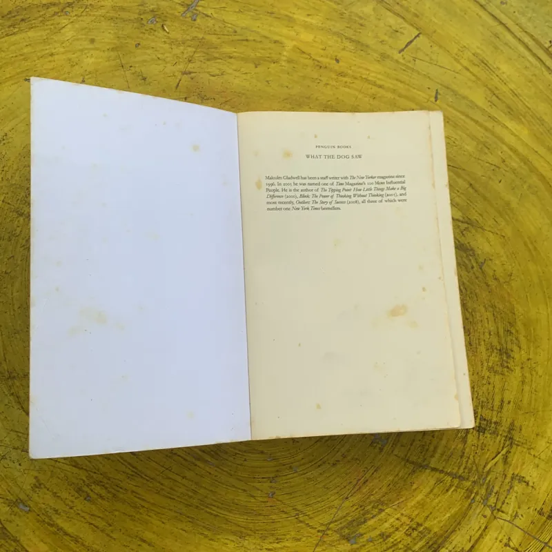 WHAT THE DOG SAW - MALCOLM GLADWELL 790299