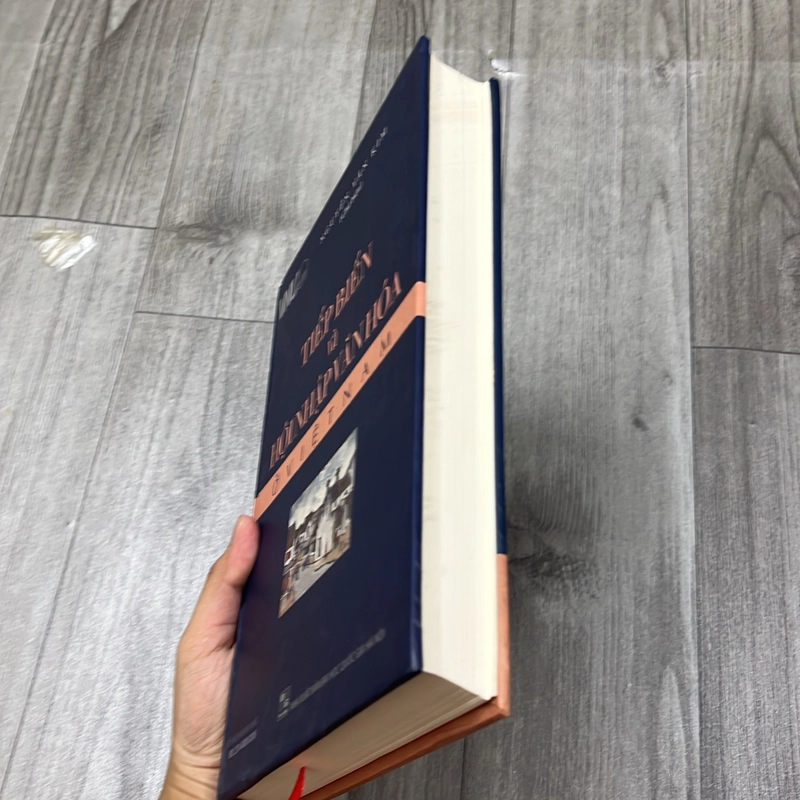 Tiếp biến và hội nhập văn hoá ở việt nam. 2a5 539035