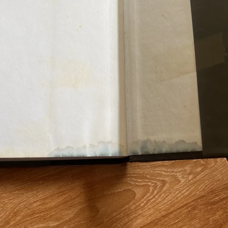 Các tập đoàn đa quốc gia các tổ chức và việc xây dựng các thực tiễn xuyên quốc gia 740374