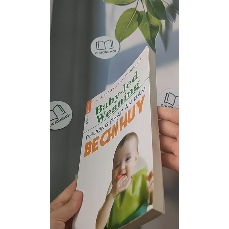 Phương pháp ăn dặm bé chỉ huy 688485