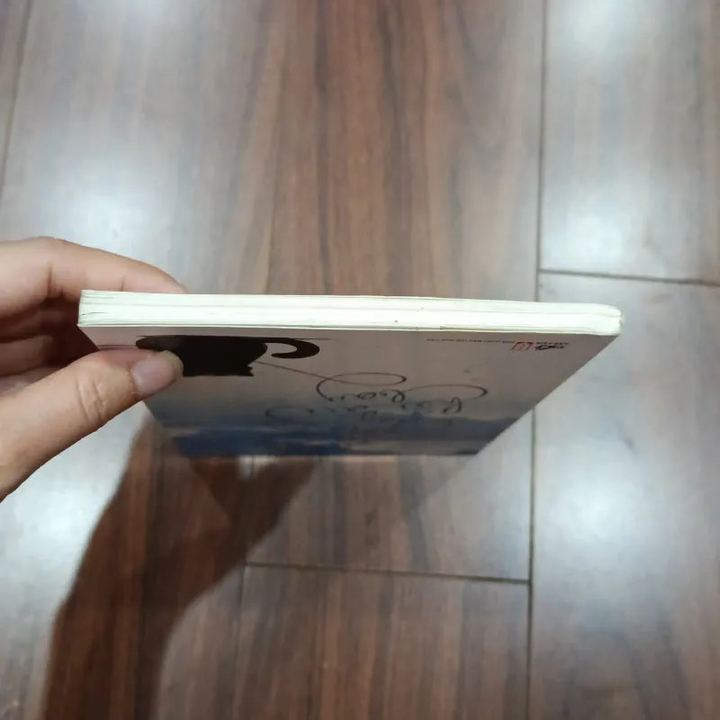 Chuyện con mèo dạy hải âu bay 1036387
