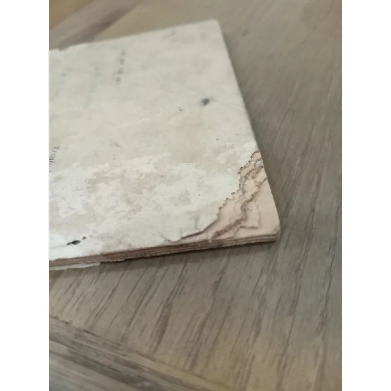 Thú rừng tây nguyên - Thiên Lương 496488