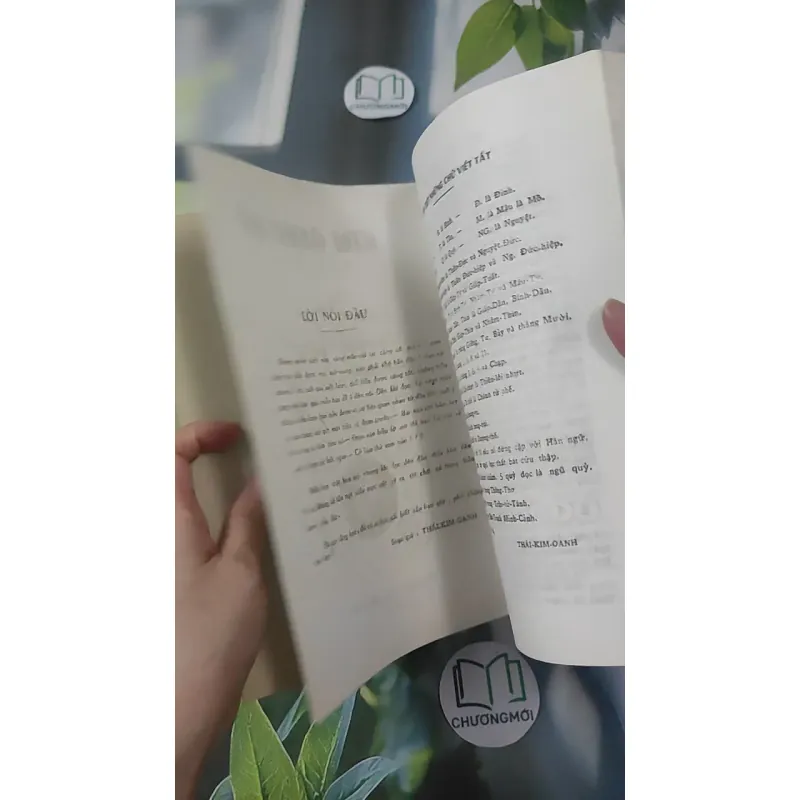Kim Oanh Ký - Bát Tự Lữ Tài - Thái Kim Oanh 1018904