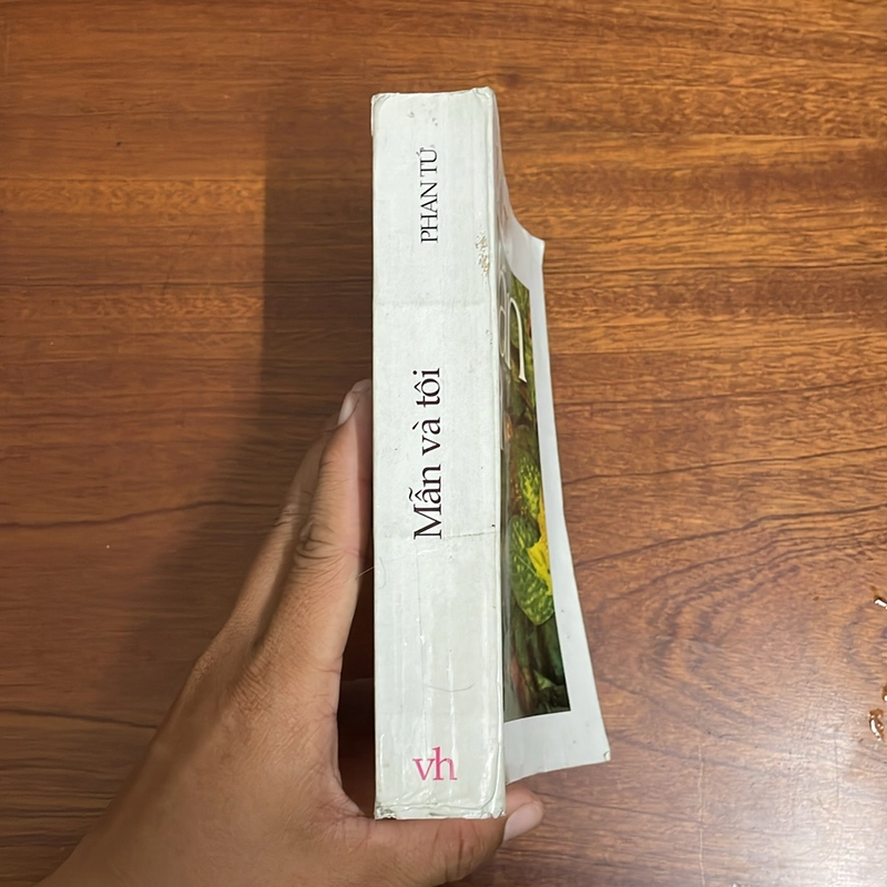 II Văn Học Việt Nam: Mẫn Và Tôi - Phan Tứ - 2001 497259