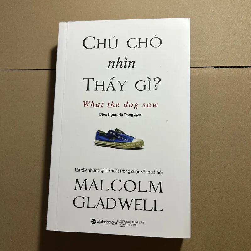 Chú chó nhìn thấy gì 570559