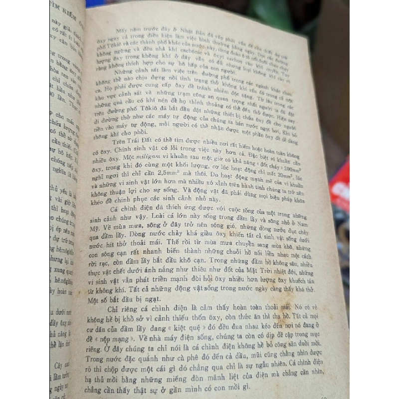 Sinh lý học giải trí - B. Xergeev 176956