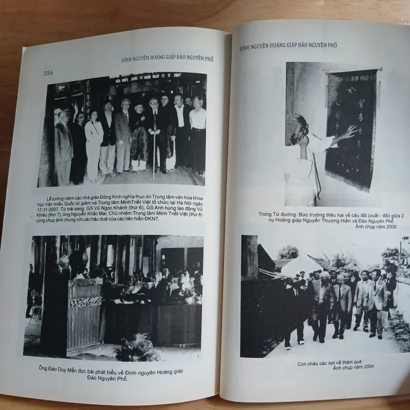 Đình Nguyên Hoàng Giáp Đào Nguyên Phổ 1030472