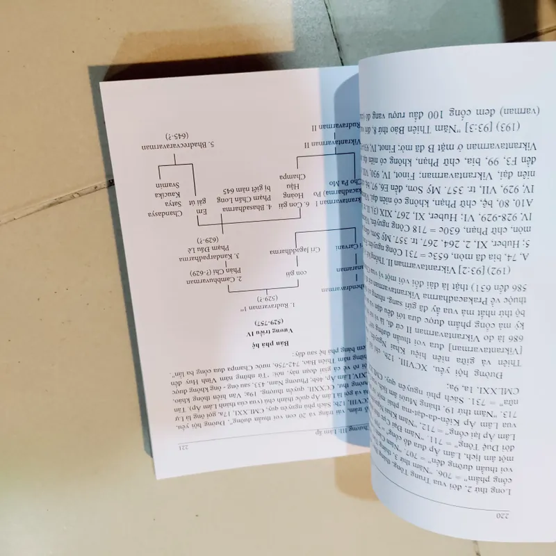 Vương quốc champa 605336