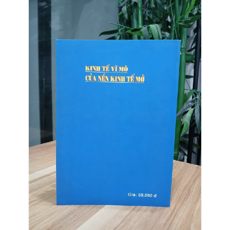 Kinh tế vĩ mô của nên kinh tế mở 563632