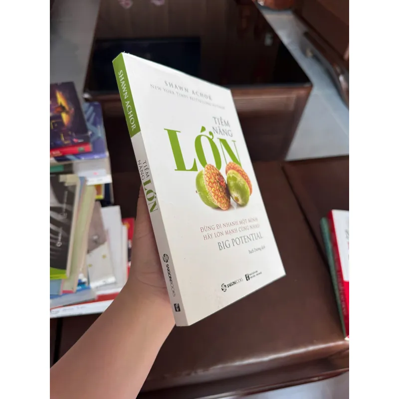 TIỀM NĂNG LỚN – Shawn Achor (Big Potential) - K3 1006577