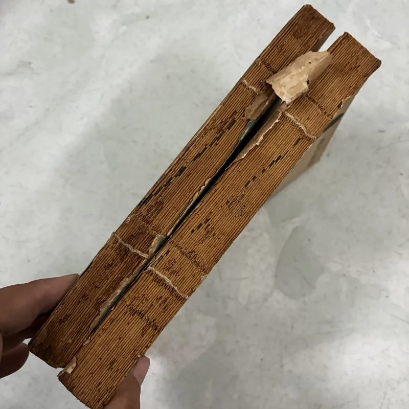 Không gia đình (Bộ 2 tập) 1029720