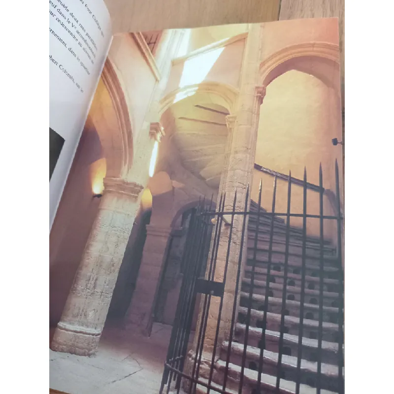 Traboules miraboules - L. Jacquemin 557245