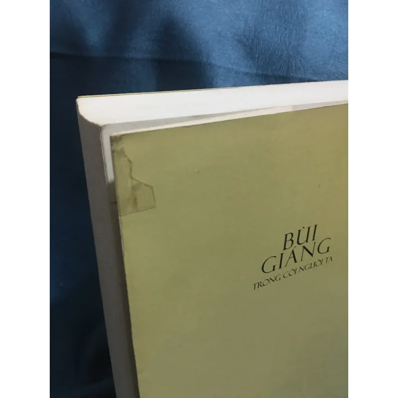 Bùi Giáng Trong cõi người ta 995981
