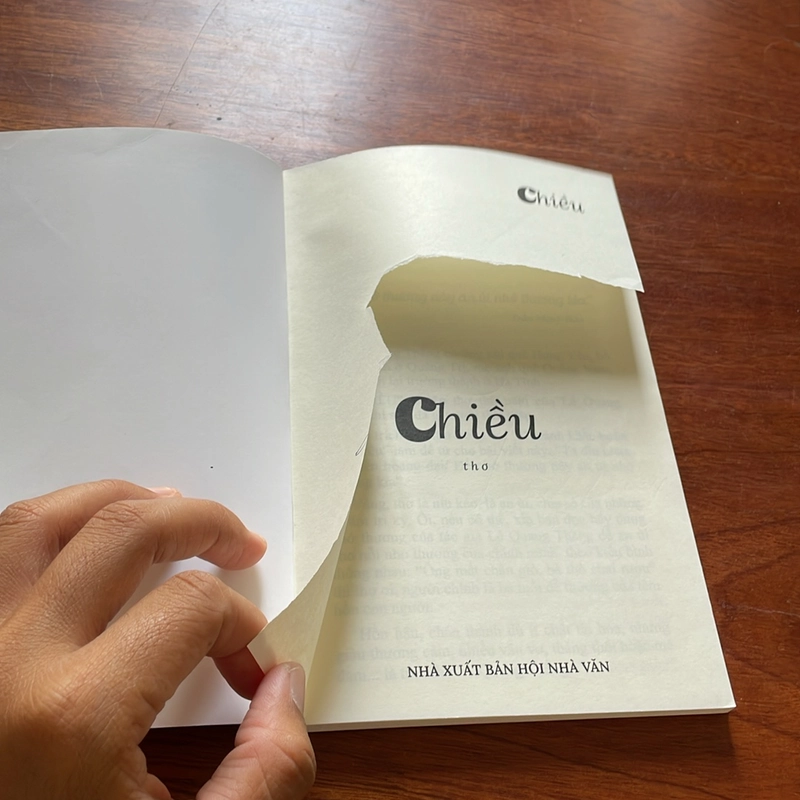 II Thơ: Chiều - Lê Quang Thắng - 2024 498388