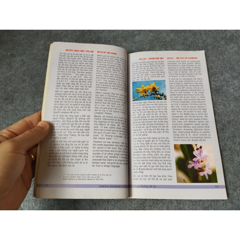 BÂNG KHUÂNG ĐÀ LẠT 718964