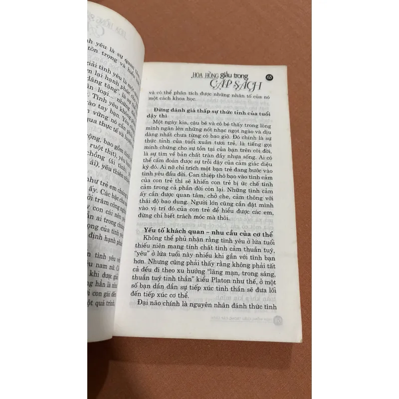 Hoa hồng trong cặp sách 🌊 599633