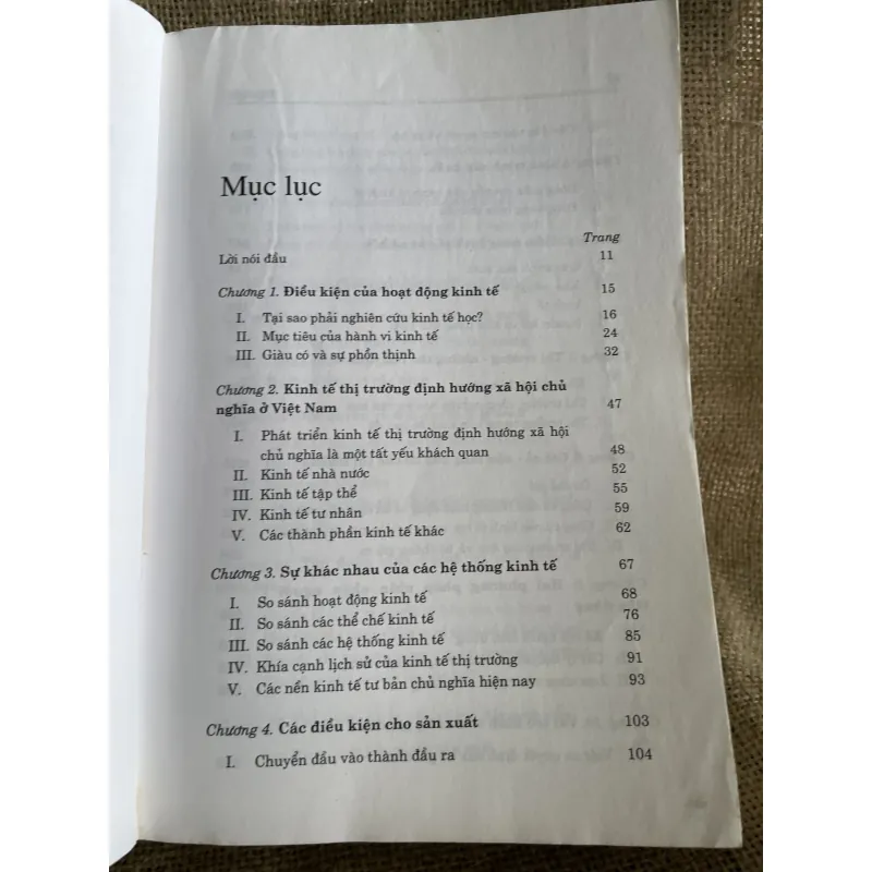 Kinh tế vĩ mô trong nền kinh tế chuyển đổi.- TS. Neva Goodwin và PGS.TS. Phạm Vũ Luận  960538