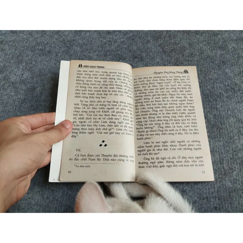 MÂY LANG THANG - NGUYỄN THỊ HỒNG THÚY 567783