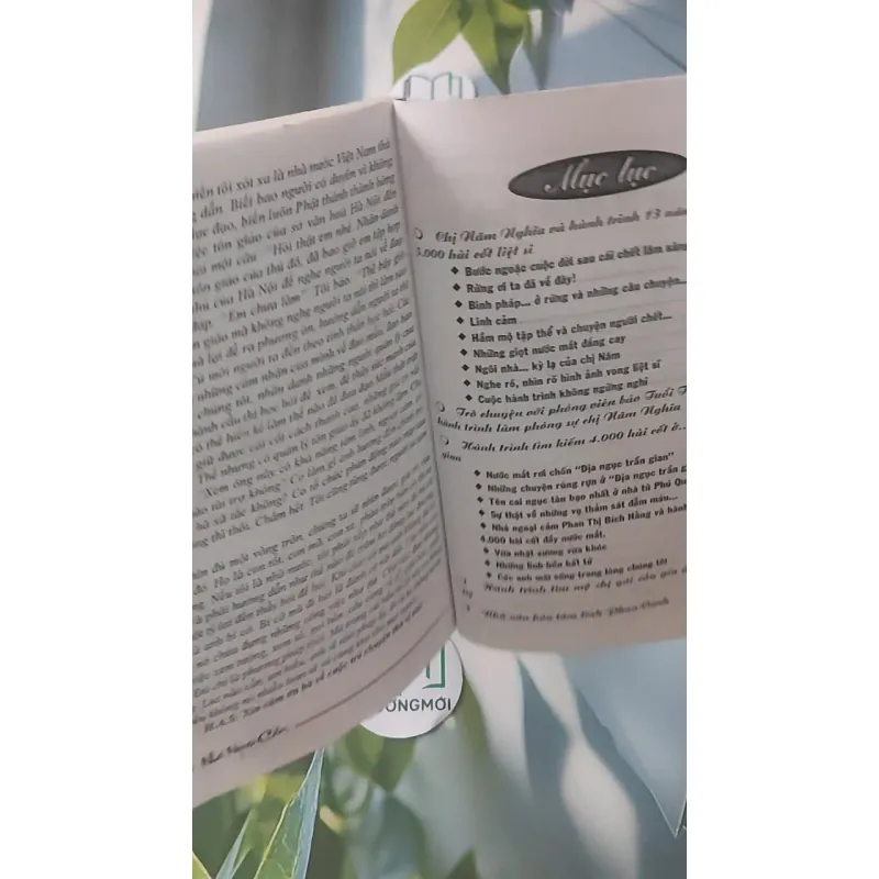 Tiếng Vọng Từ Những Linh Hồn - Hoàng Anh Sướng 928519