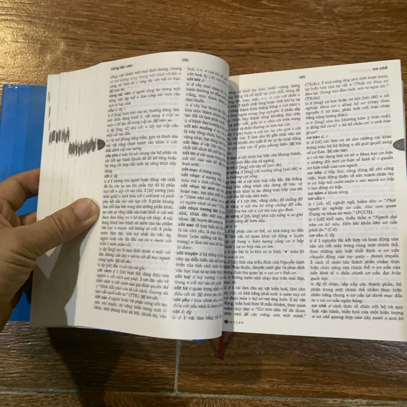 Từ điển Tiếng Việt Vietlex - Trung tâm từ điểm học (11) 1021293