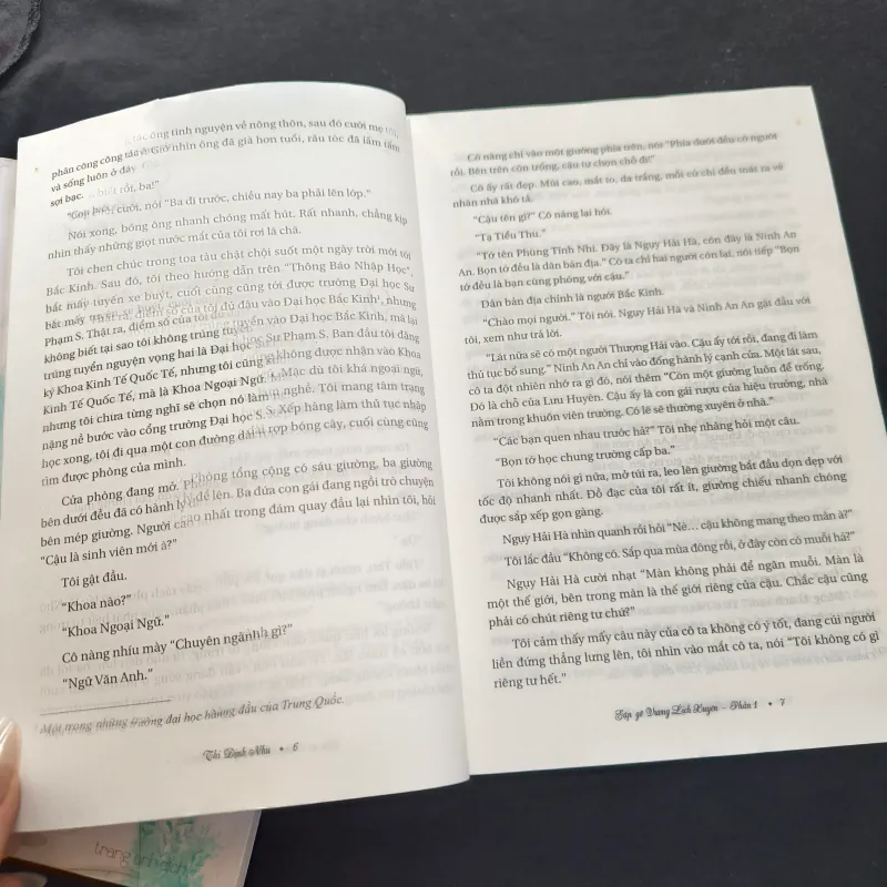 Gặp gỡ Vương Lịch Xuyên (Bộ 2 tập) - Thi Định Nhu 927069