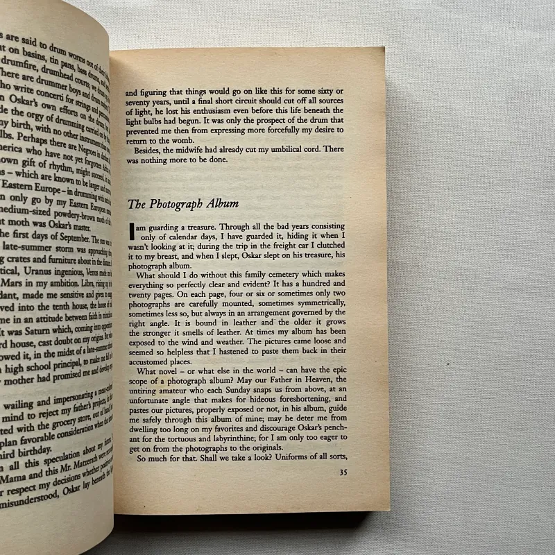 The Tin Drum - Günter Grass   960681