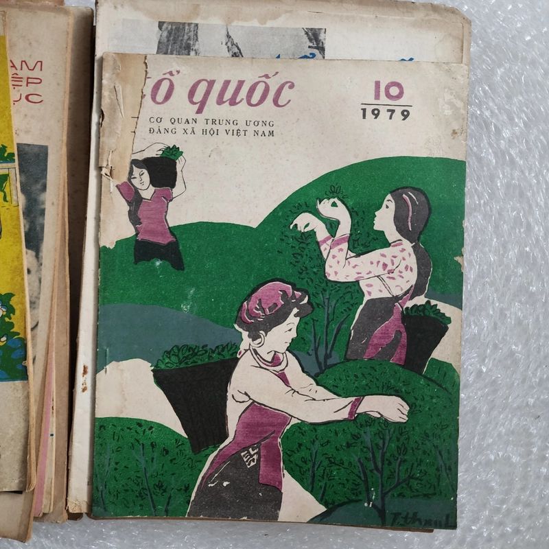 Báo Tổ quốc của Đảng Xã hội Việt Nam | 21 số từ 1979 đến 1988 nhiều số chuyên đề 452249