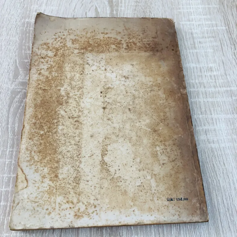 SINH THÁI HỌC THỰC VẬT 956979