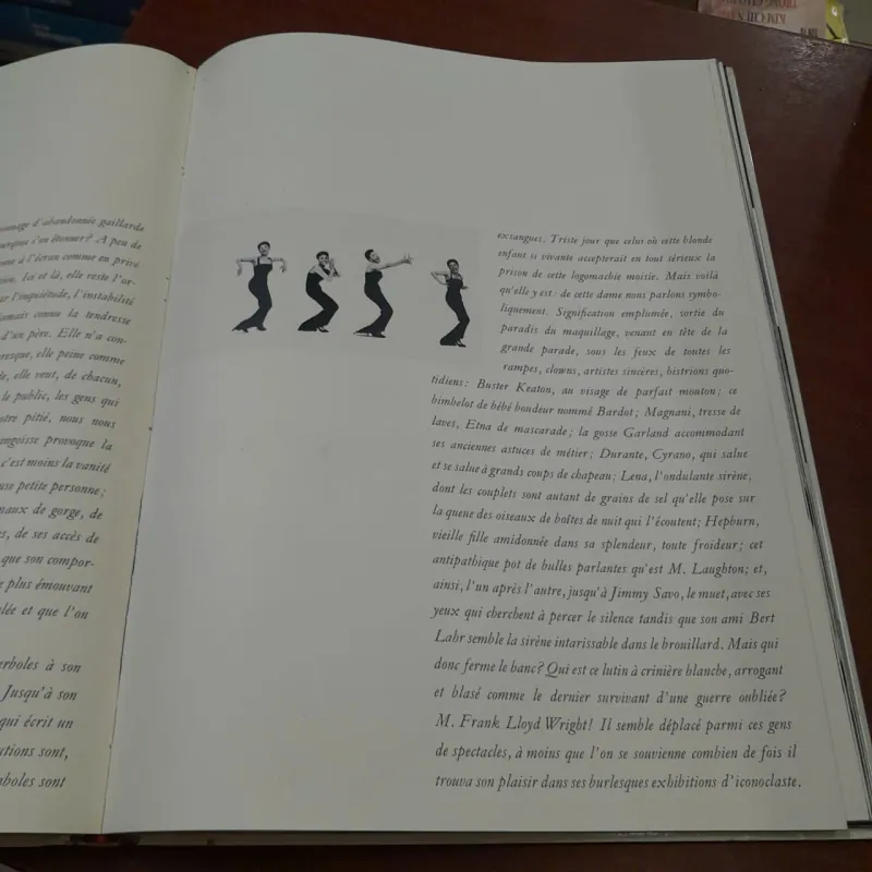 OBSERVATIONS - RICHARD AVEDON 787795