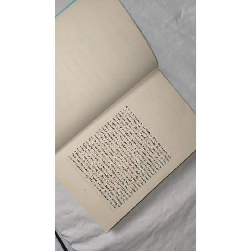 Psychological / Crime Fiction – The Last Summer | Andrée A. Michaud 754616