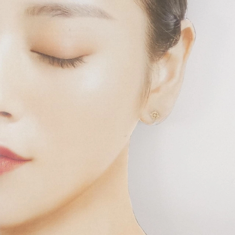 Bông tai kim cương Nojes 0.044CT - Hàng hiệu Chính hãng 844542