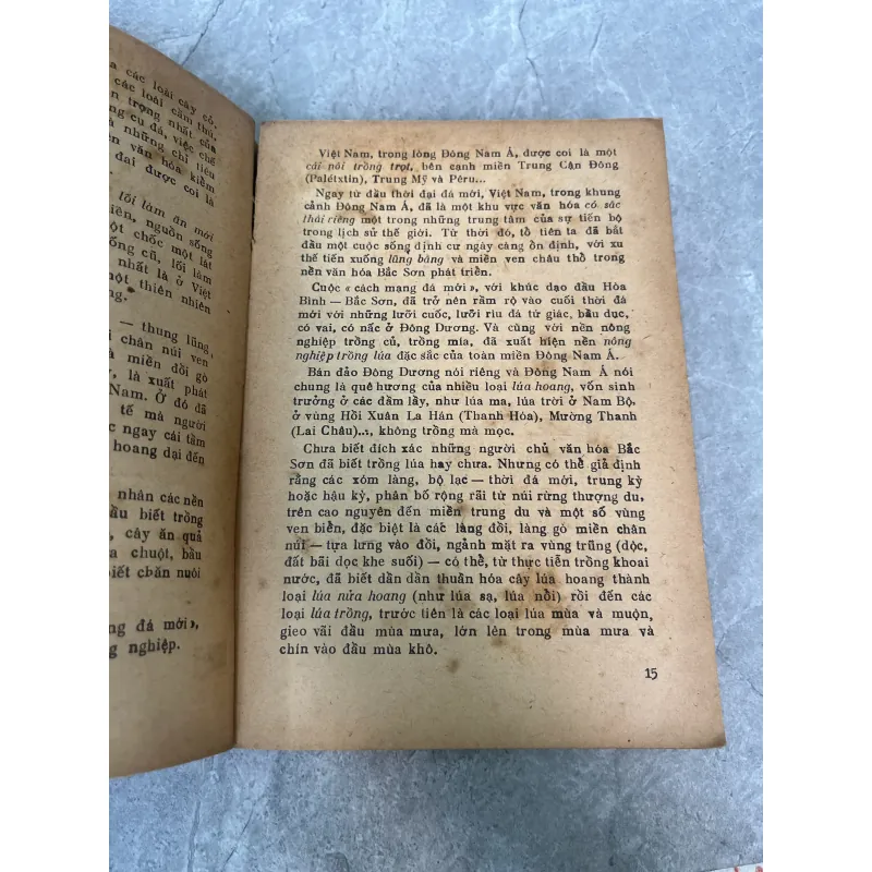 CHỐNG PHONG KIẾN TRUNG QUỐC XÂM LƯỢC - HỒNG NAM, HỒNG LĨNH 975759