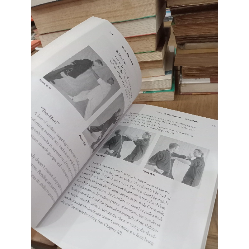 Martial mechanics - Phillip Starr 758687