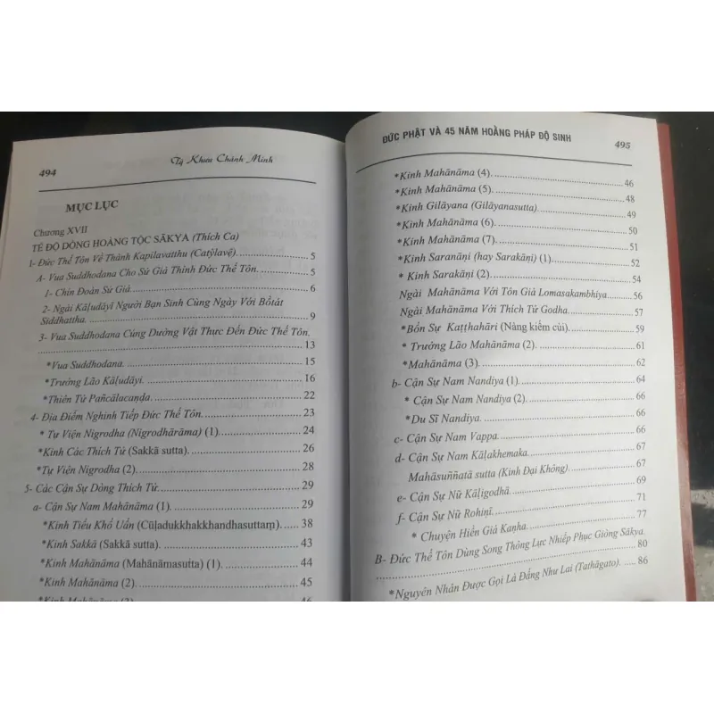 Đức Phật và 45 Năm Hoằng Pháp Độ Sinh - Tập 9 756021