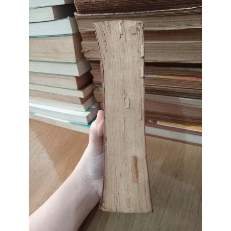 THE HOLY BIBLE 300762