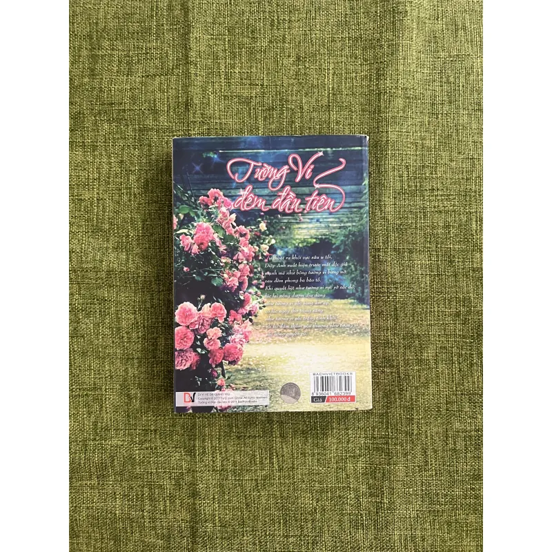 TƯỜNG VI ĐÊM ĐẦU TIÊN - Minh Hiểu Khê 575539