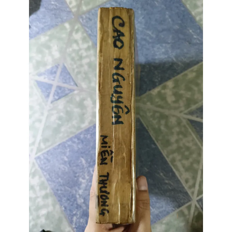 Cao Nguyên miền Thượng - Cửu Long Giang - Toan Ánh 705059