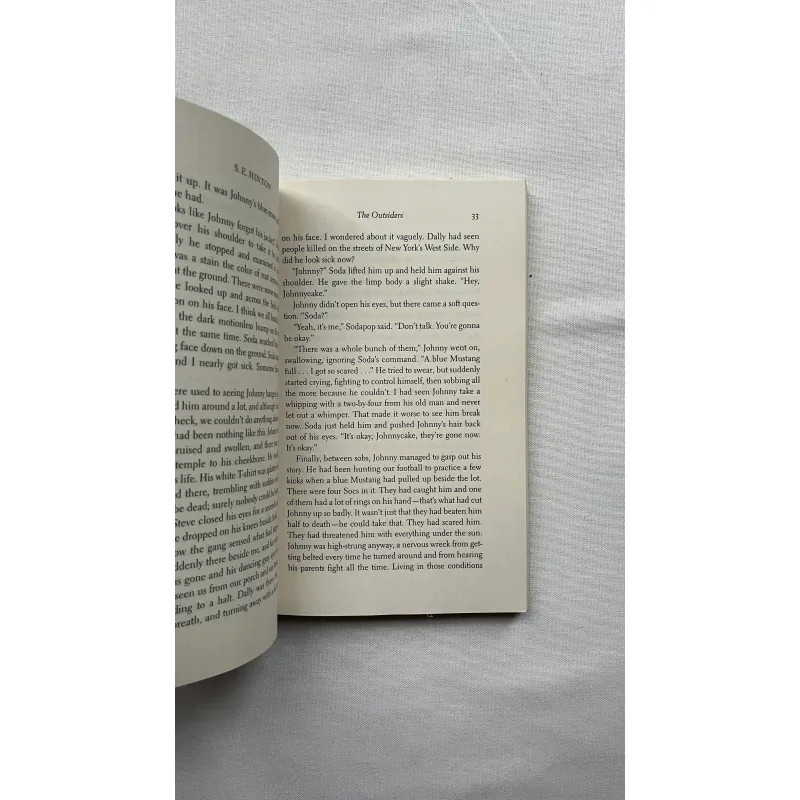 The Outsiders - S.E. Hinton  785330