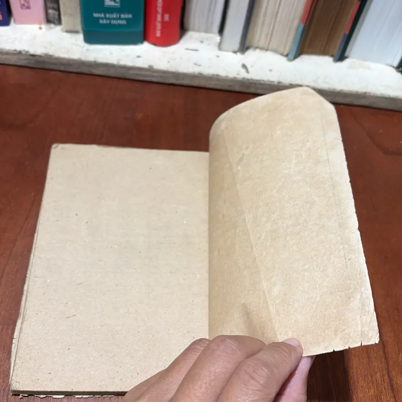 II Truyện Phim: Mùa Nước Nổi - Nguyễn Quang Sáng - 1985 763216