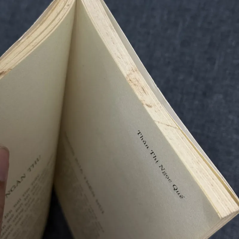 Hạt cát dòng sông - Thân Thị Ngọc Quế 1012850