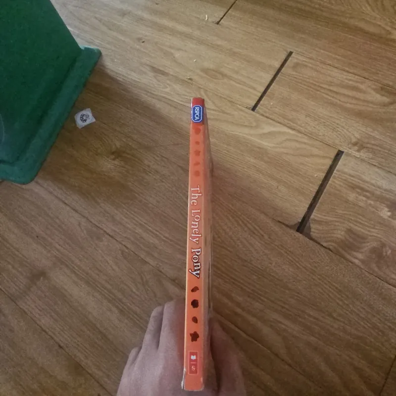 The Lonely Pony Giá 20k  604040