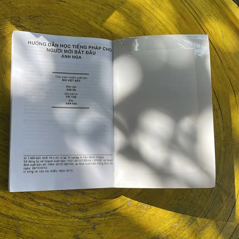 HƯỚNG DẪN HỌC TIẾNG PHÁP CHO NGƯỜI MỚI BẮT ĐẦU- ÁNH NGA 686904