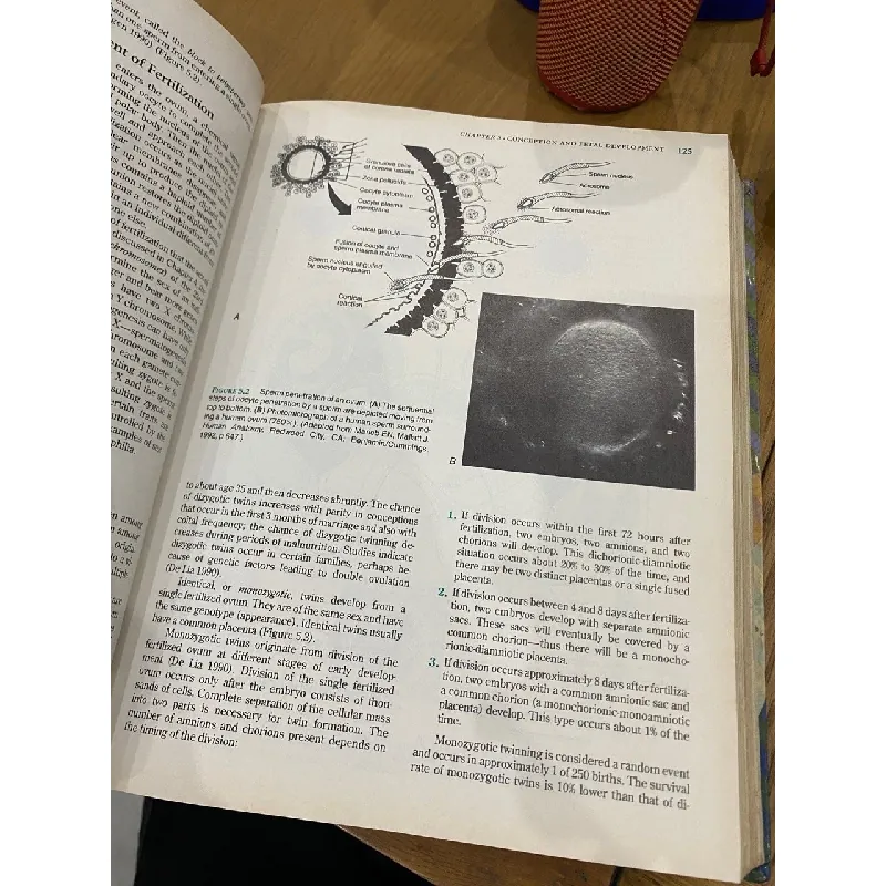 Essentials of Maternal-Newborn Nursing - Ladewig, London, Olds 553318