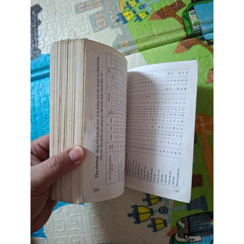 555 Món Ăn Việt Nam 973505