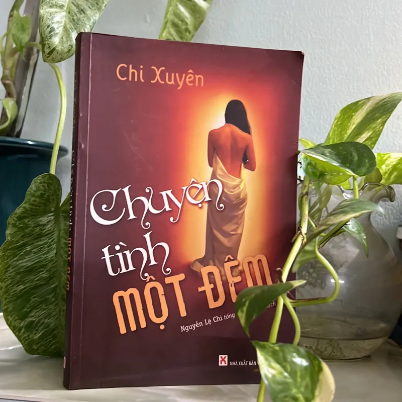 Chuyện tình một đêm 746050