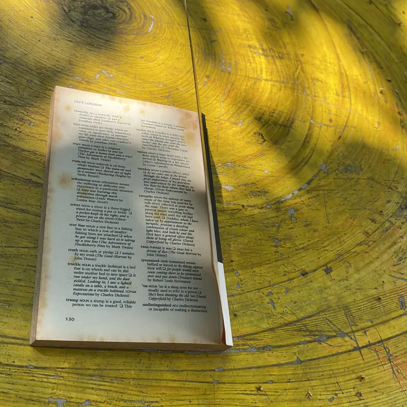 THE CALL OF THE WILD - JACK LONDON 763413