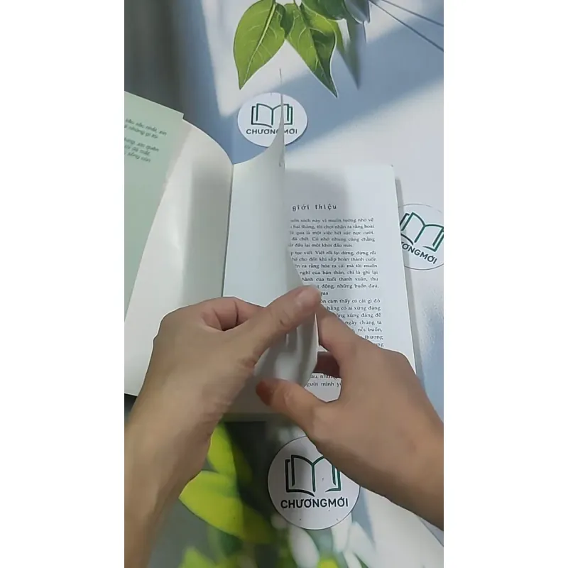 Cô đơn vào đời - Dịch Phấn Hàn 694970